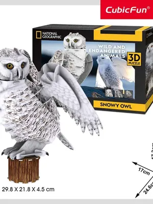 Image of: CubicFun Пъзел 3D National Geographic Полярна Сова 62ч.